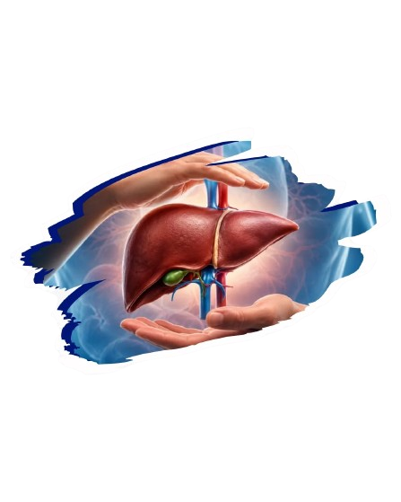 hepatology